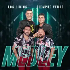 Mueve / Cumbia Caliente / No Me Mires - Single by Siempre Verde & Los Lirios de Santa Fe album reviews, ratings, credits