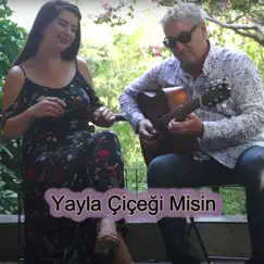 Yayla Çiçeği Misin - Single by Paul Dwyer & Çiğdem Taştan album reviews, ratings, credits