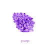 Purp - Single album lyrics, reviews, download