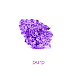 Purp - Single by BeatsByEndless album reviews, ratings, credits