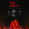 I'm Sorry (feat. BigFa & Fritzoe) [Remix] - Single album lyrics, reviews, download