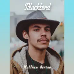 Blackbird - Single by Matthew Serino album reviews, ratings, credits