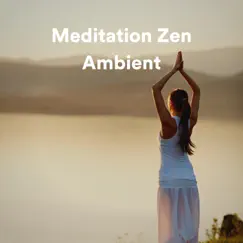 Meditation Zen Ambient by Meditation Zen, Ambient & Meditation Guru album reviews, ratings, credits