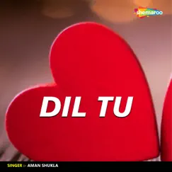 Dil Tu Song Lyrics