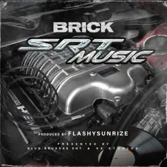 SRT music - Single by Brick album reviews, ratings, credits