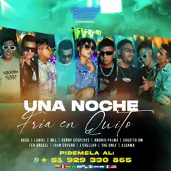 Una noche fría en Quito (feat. MEL, Aldama, Juan Sovero, Fer Angell, Deck, Andriu Palma, J. Cuéllar, Gerry Céspedes, Chuzito RM, The Only & Laniel) - Single by Phantom Joyce album reviews, ratings, credits