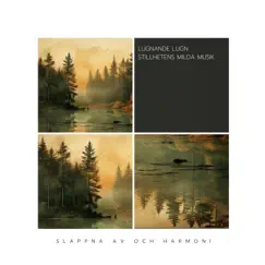 Lugnande Lugn: Stillhetens Milda Musik by Slappna av och Harmoni, Sleepy Clouds & Sleepy Sine album reviews, ratings, credits