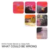 What Could Be Wrong - EP album lyrics, reviews, download