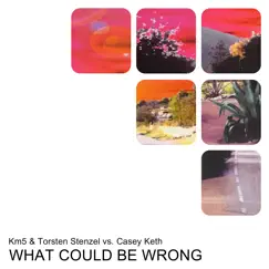 What Could Be Wrong (Sin Plomo Dub Mix) Song Lyrics
