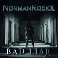 Bad Liar (unplugged) Song Lyrics