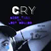 Cry (feat. Lucy Dorado) [Alternate Version] - Single album lyrics, reviews, download