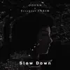 Slow Down (feat. ErtuğrulTarım) - Single album lyrics, reviews, download