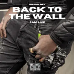 Back To the Wall - Single by The Bul Bey album reviews, ratings, credits