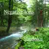Negative Ions - Single album lyrics, reviews, download