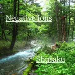Negative Ions - Single by Shusaku album reviews, ratings, credits