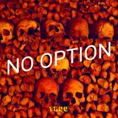 No Option - Single by Truu album reviews, ratings, credits