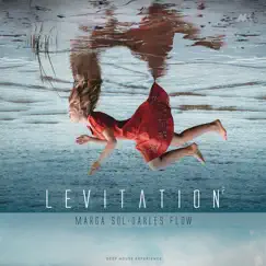 Levitation 2 by Marga Sol & Darles Flow album reviews, ratings, credits