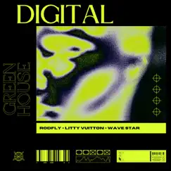 Digital (feat. Litty Vuitton) - Single by RODFLY album reviews, ratings, credits