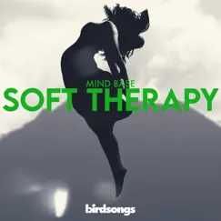 Soft Therapy (feat. Birdsongs) - Single by Mind Base album reviews, ratings, credits