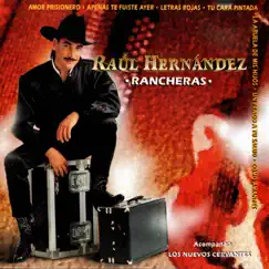 Rancheras (Con Banda) by Raúl Hernández & Los Nuevos Cervantes album reviews, ratings, credits