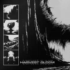 Harvest Gloom - Single by 99zed, TWENTYTHREE & Saliva Grey album reviews, ratings, credits