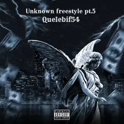 Unknown Freestyle, Pt. 5 Song Lyrics