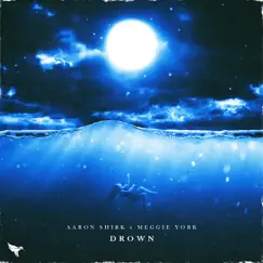 Drown (ft. Meggie York) Song Lyrics