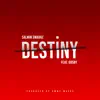 DESTINY (feat. Gosby) - Single album lyrics, reviews, download
