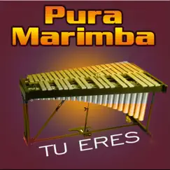 Tú Eres by Pura Marimba album reviews, ratings, credits