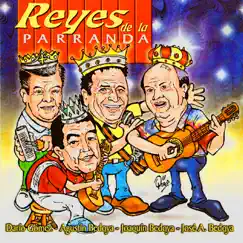 Reyes De La Parranda by Darío Gómez, Agustin Bedoya, Joaquín Bedoya & Jose A Bedoya album reviews, ratings, credits