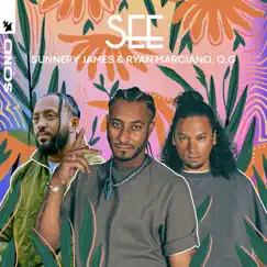 See - Single by Sunnery James & Ryan Marciano & QG album reviews, ratings, credits