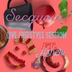 Freestyle Session (Live from Chicago) [feat. Asher] Song Lyrics