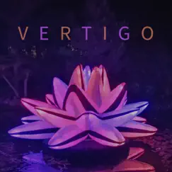 Vertigo (petrad Remix) Song Lyrics