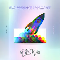 Do What I Want - Single by 5blok40 album reviews, ratings, credits