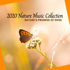 Nature's Promise of Dusk- 2020 Nature Music Collection by Calming Sounds & Nature Radiance album reviews, ratings, credits