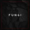Fungi - Single album lyrics, reviews, download