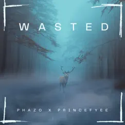 Wasted (feat. Phazo) - Single by Princefyee album reviews, ratings, credits