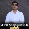 Ghwag Wonesa Bayan Ta - Single album lyrics, reviews, download