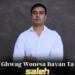 Ghwag Wonesa Bayan Ta - Single by Saleh album reviews, ratings, credits