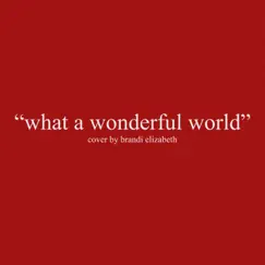 What a Wonderful World - Single by Brandi Elizabeth album reviews, ratings, credits