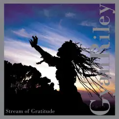 Stream of Gratitude: Sarabande Song Lyrics