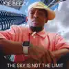 The Sky is not the Limit - Single album lyrics, reviews, download