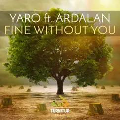 Fine Without You (feat. Ardalan) Song Lyrics
