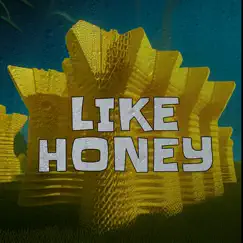Like Honey - Single by Phunkee Phoot album reviews, ratings, credits
