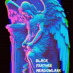 Cantara Flame - Single by Black Feather Meadowlark album reviews, ratings, credits