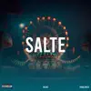 SALTE - Single album lyrics, reviews, download