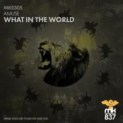 What in the World - Single by Amuse album reviews, ratings, credits
