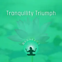 Tranquility Triumph - Bedtime Herbal Tea Rituals, Warming Your Soul, Cozy and Comfortable Rest by Medspace album reviews, ratings, credits
