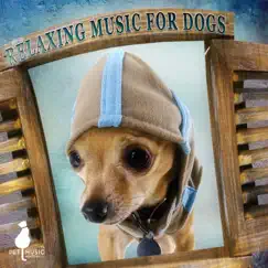Relaxing Music for Dogs - Calm Down Your Animal Companion, Soothing Nature Sounds for Puppies & Cats Vol, 2 by Pet Music Academy album reviews, ratings, credits