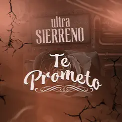 Te Prometo Song Lyrics